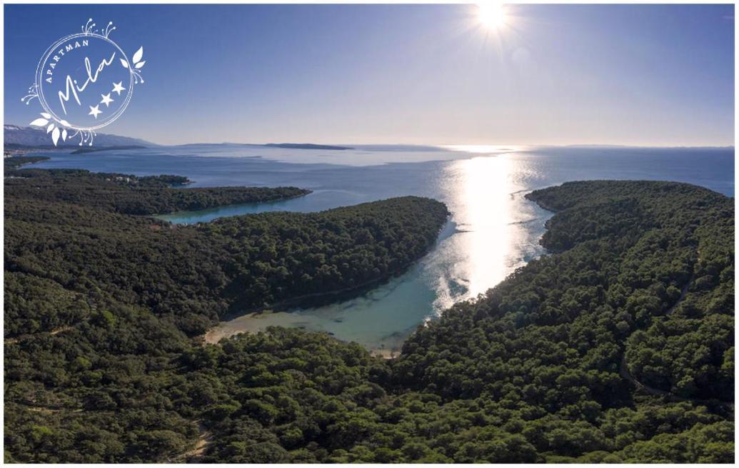 Apartman Mila Barbat na Rabu Esterno foto